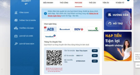 Hướng dẫn nạp tiền Sin88 thành công trong 5 phút 2 nạp tiền sin88 phương thức paycode
