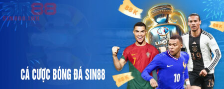 cá cược bóng đá sin88